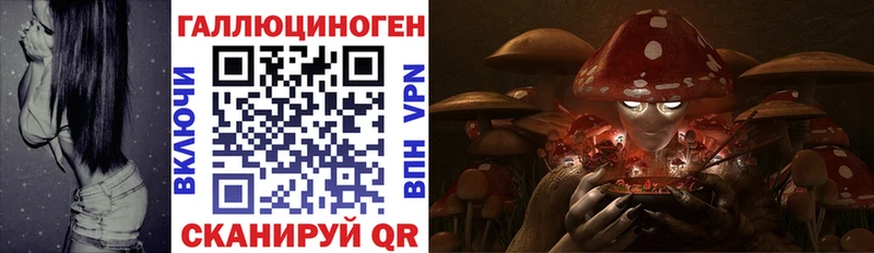 дарнет шоп  Ливны  MEGA   Псилоцибиновые грибы мицелий 